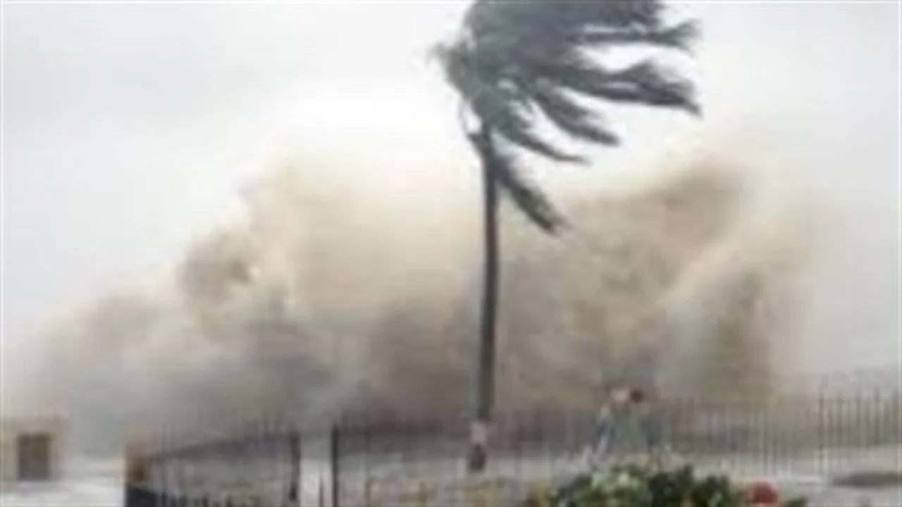 شلل مروري واسع.. عاصفة قوية تعطل الرحلات الجوية والقطارات في نيوزيلندا